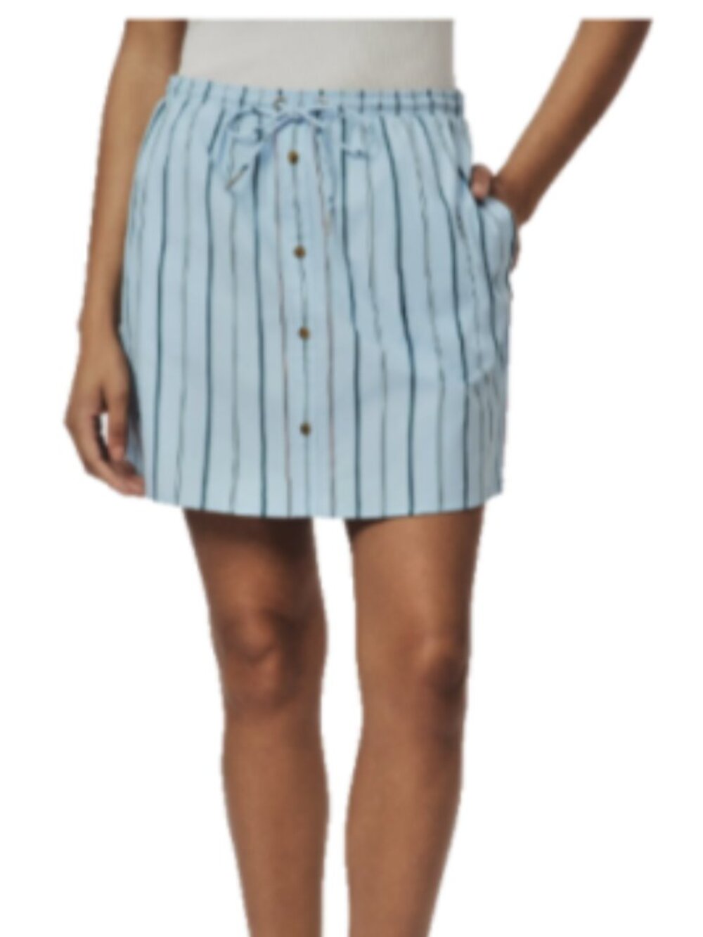 SCOTCH & SODA Blue Pinstriped Skirt Size Large  CERULEAN MULTI PINSTRIPE NWTSZ L